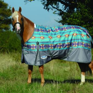 Weatherbeeta Essential Medium 220g Standard Neck Turnout
