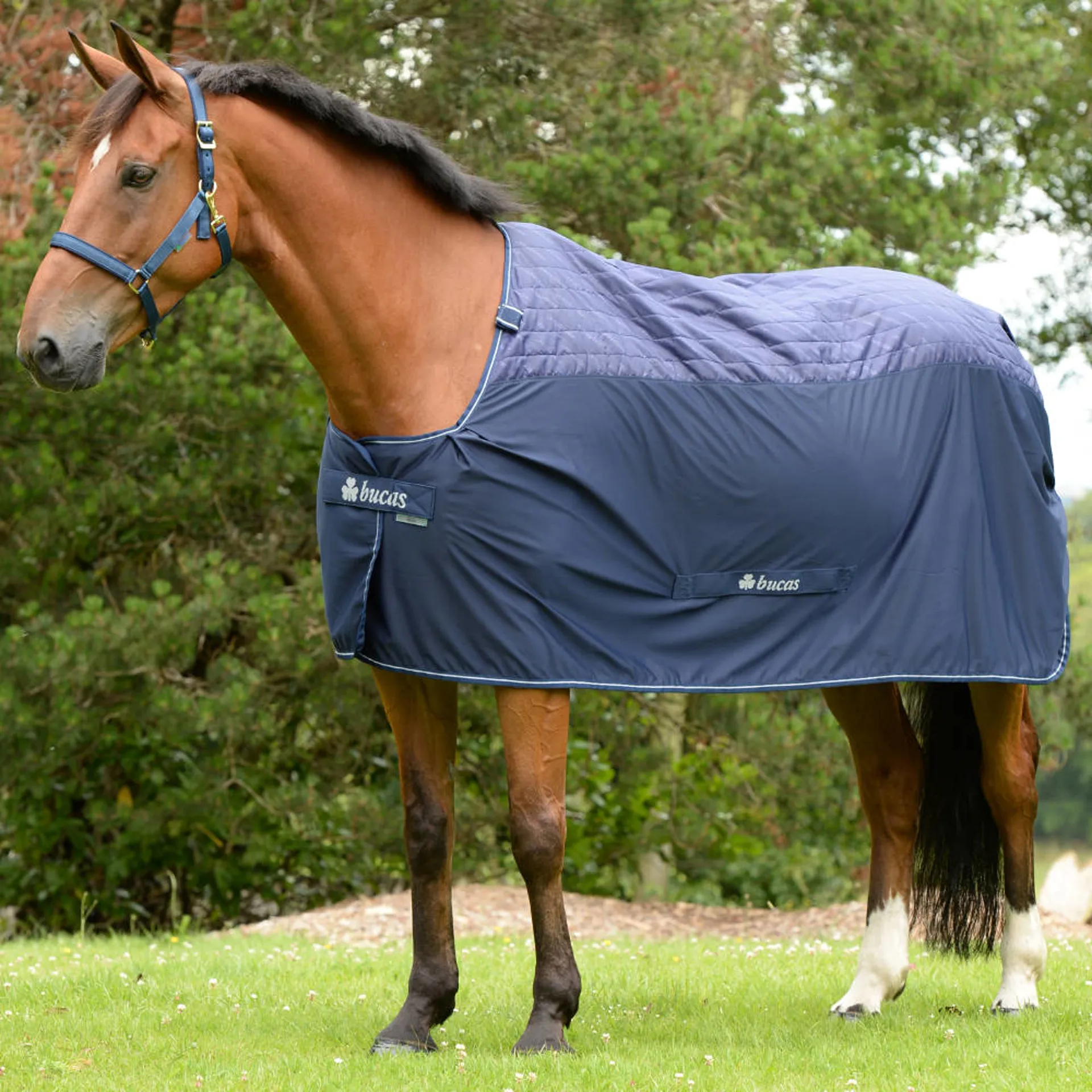 Bucas Recuptex Therapy Rug