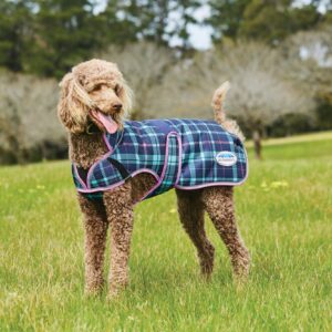 Weatherbeeta ComFiTec Premier Free Deluxe Dog Coat
