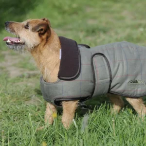 Weatherbeeta Tweed Dog Coat