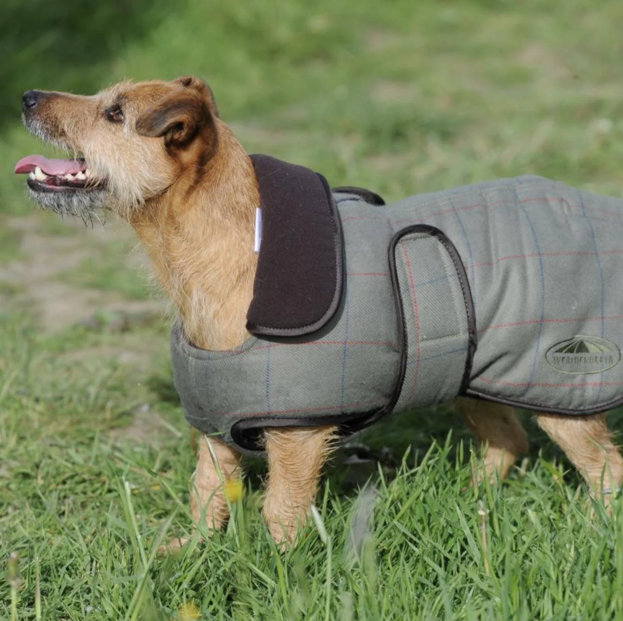 Weatherbeeta Tweed Dog Coat