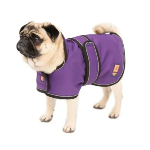 Ginger Ted Pug/ Frenchie Coat