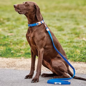 Weatherbeeta Elegance Dog Lead