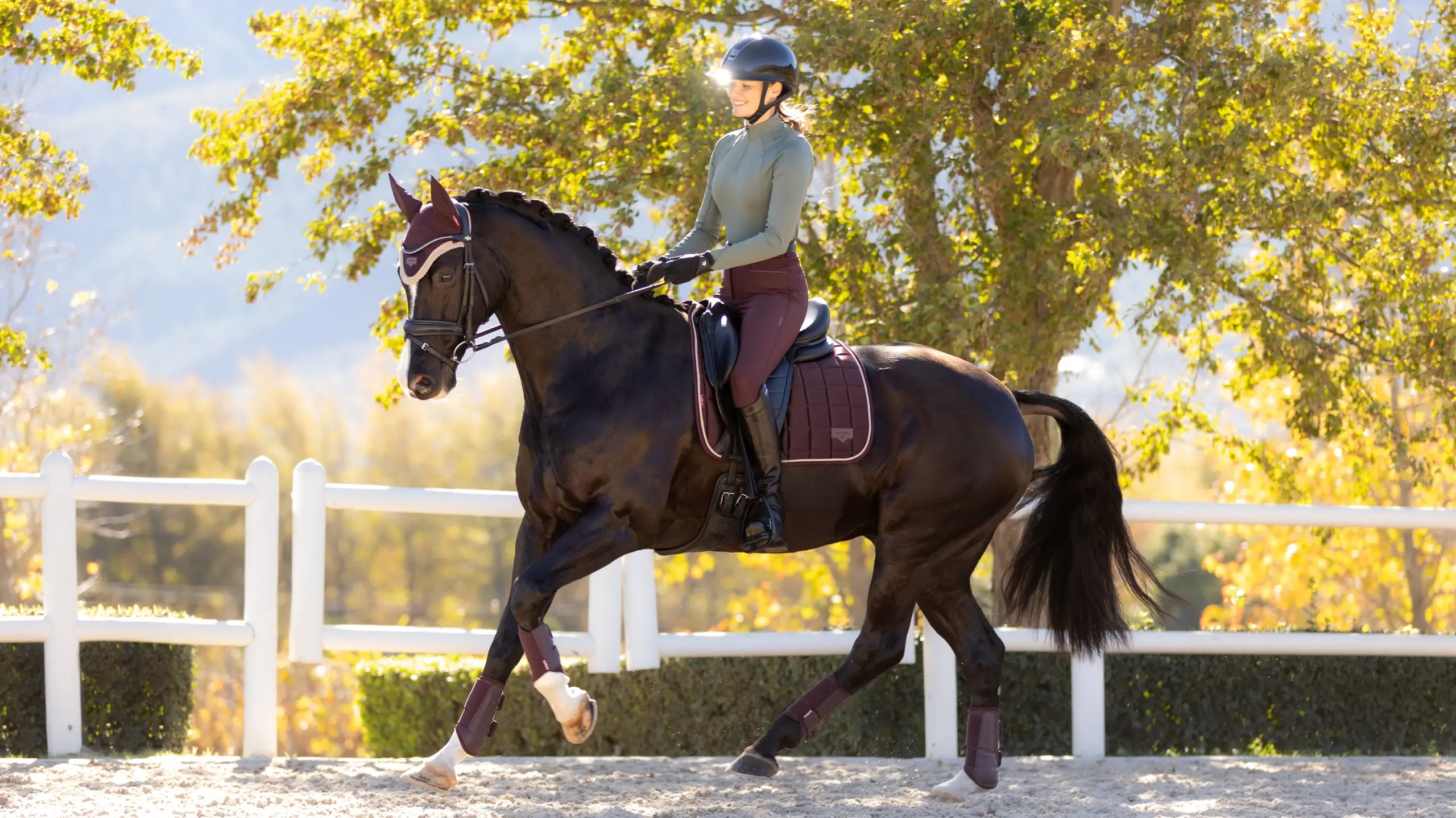 LeMieux Loire Classic Dressage Square - Image 3